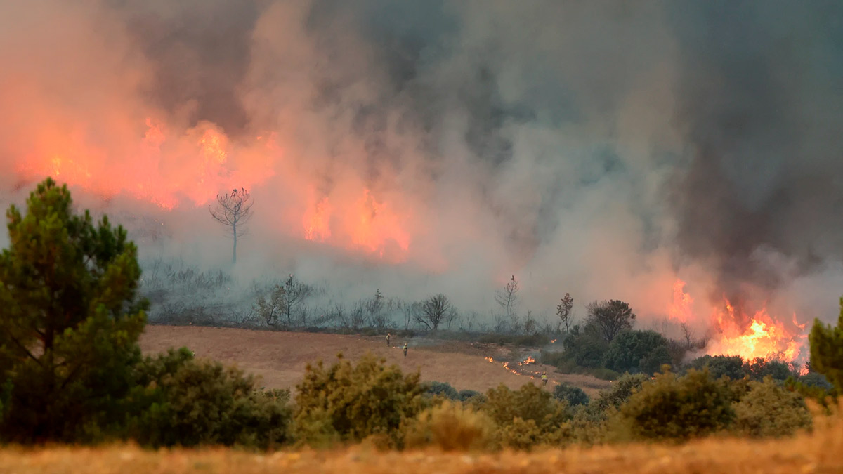 Europa afronta una ola de calor: España es azotada por incendios forestales